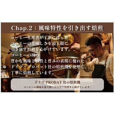 COFFEA EXLIBRIS 【ディップスタイル・コーヒー】おまかせ14袋 飲み比べセット