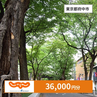 【じゃらんふるさと納税クーポン】 東京都府中市でつかえる36,000円 クーポン