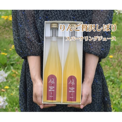 りんご贅沢しぼりスパークリング100%リンゴジュース(2本入り)