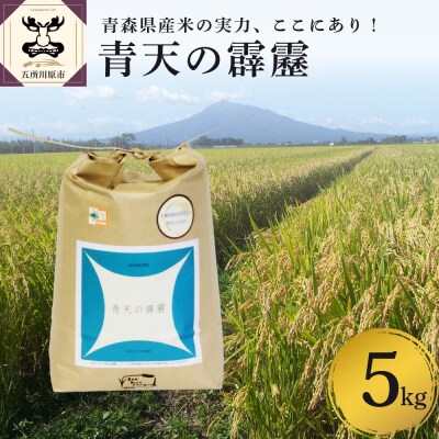 【令和8年産米】【先行受付】 米 青天の霹靂 5kg 特別栽培米 青森県産