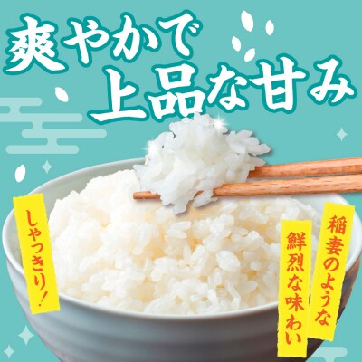 【令和8年産米】【先行受付】 米 青天の霹靂 5kg 特別栽培米 青森県産
