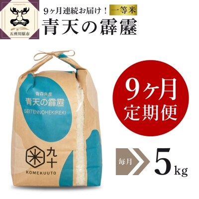 【定期便 9ヶ月】 米 青天の霹靂 5kg 青森県産 【特A 一等米】 定期便9回 5kg×9回