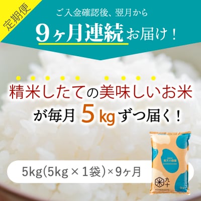 【定期便 9ヶ月】 米 青天の霹靂 5kg 青森県産 定期便9回 5kg×9回