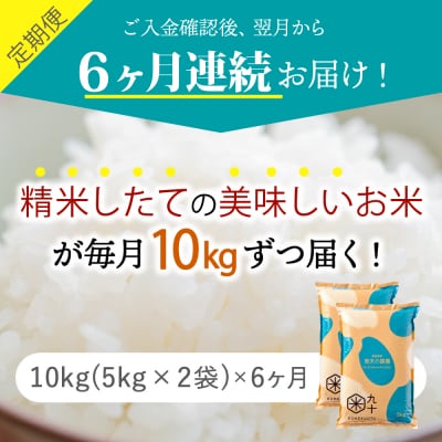 【定期便 6ヶ月】 米 青天の霹靂 10kg 青森県  米定期便6回 10kg×6回