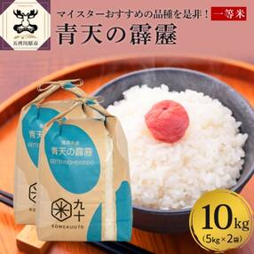 青天の霹靂 米 10kg 青森県産 【特A 一等米】(精米・5kg×2袋)