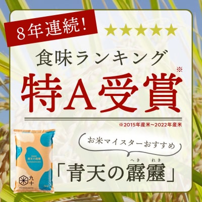 米 青天の霹靂 10kg 青森県産 【特A 8年連続取得 】(精米・5kg×2袋)