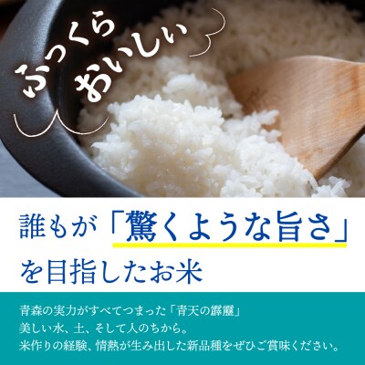 【令和7年産米】米 青天の霹靂 10kg 青森県産 【特A 8年連続取得 】(精米・5kg×2袋)