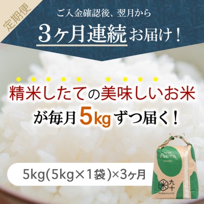 【定期便 3ヶ月】 米 5kg まっしぐら 青森県産 (精米) 定期便3回 5kg×3回
