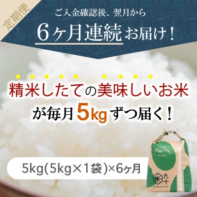 【定期便 6ヶ月】 米 5kg まっしぐら 青森県産 (精米) 定期便6回 5kg×6回