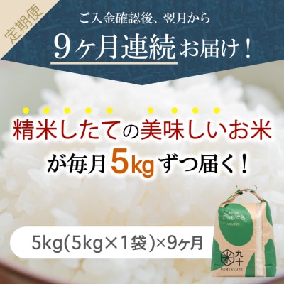 【定期便 9ヶ月】 米 5kg まっしぐら 青森県産 (精米) 定期便9回 5kg×9回