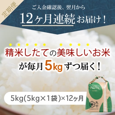 【定期便 12ヶ月】 米 5kg まっしぐら 青森県産 (精米) 定期便12回 5kg×12回