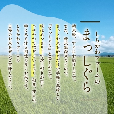 無洗米 10kg 青森県産 まっしぐら (精米)