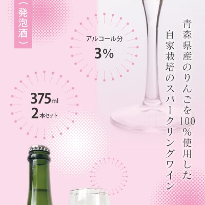 さとうりんご園 シードルjonagold 375ml×2本
