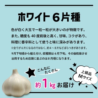 にんにく　青森県産にんにく(上級品)Mサイズ1kg