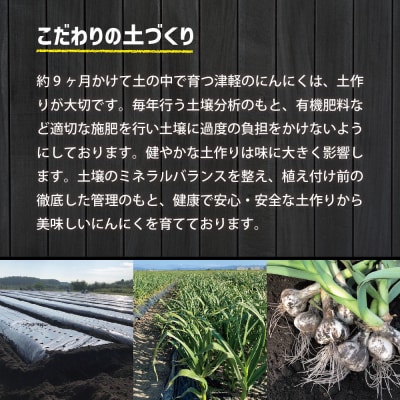 【先行受付】【8月下旬より順次発送】 にんにく　青森県産にんにく(上級品)Mサイズ1kg