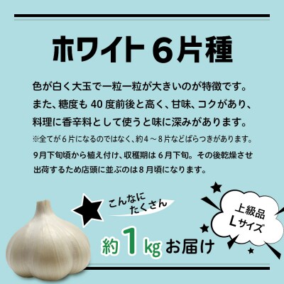 【8月上旬より順次発送】青森県産 にんにく (上級品) Lサイズ 1kg