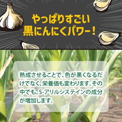 【訳あり】青森県産 黒にんにくバラ500g