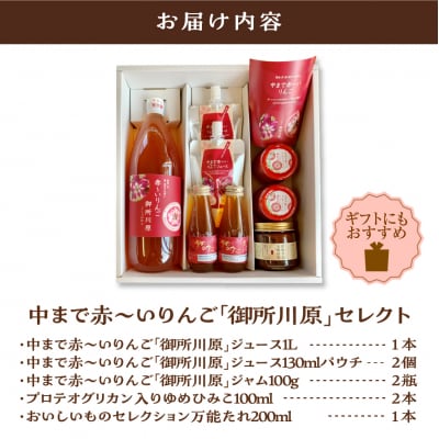 中まで赤～いりんご「御所川原」セレクト