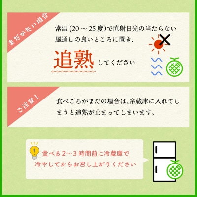 【2026年8月前半発送】【訳あり】メロン 約2.5kg 青肉 2玉 青森産