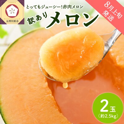 【2025年8月上旬発送】【訳あり】メロン赤肉 2玉入り(2.5kg程度) 津軽産