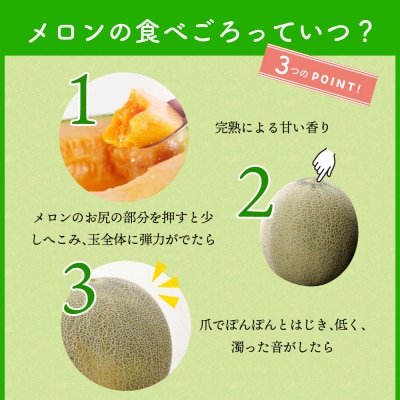 【2026年8月前半発送】【訳あり】メロン赤肉 2玉入り(2.5kg程度) 青森県産