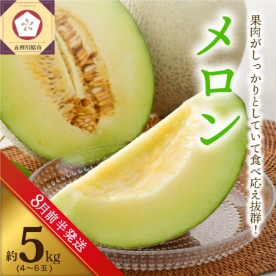 【2026年8月前半発送】メロン 5kg 程度 (青肉4～6玉) 青森県産