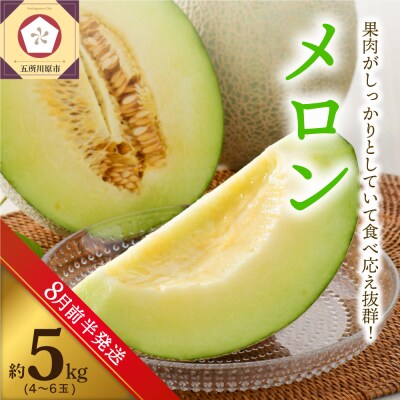 【2026年8月前半発送】メロン 5kg 程度 (青肉4～6玉) 青森県産