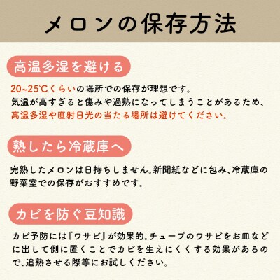 【2025年8月上旬発送】メロン5kg程度(緑肉4～6玉)津軽産