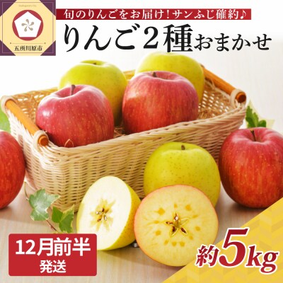 【2025年12月前半発送】 りんご 青森産 約5kg サンふじ 確約 品種おまかせ2種以上 贈答用