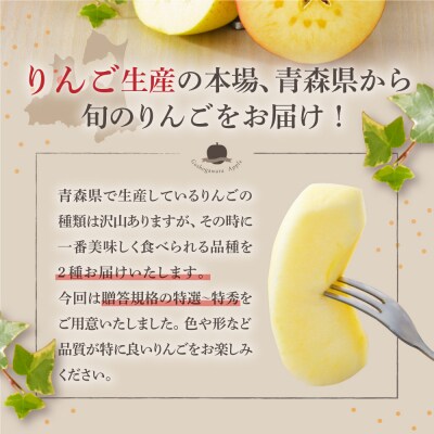 【2026年12月前半発送】 りんご 青森産 約5kg サンふじ 確約 品種おまかせ2種以上 贈答用