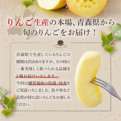 【2026年12月後半発送】 りんご 青森産 約5kg サンふじ 確約 品種おまかせ2種以上 贈答用