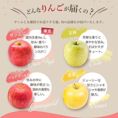 【2026年12月後半発送】 りんご 青森産 約5kg サンふじ 確約 品種おまかせ2種以上 贈答用