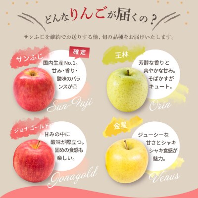 【2027年2月後半発送】 りんご 青森産 約5kg サンふじ 確約 品種おまかせ2種以上 贈答用 