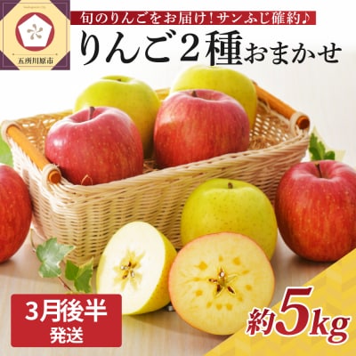 【2026年3月後半発送】 りんご 青森産 約5kg サンふじ 確約 品種おまかせ2種以上 贈答用 