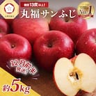 【2025年12月前半発送】 りんご 青森産 約5kg 丸福 サンふじ 光センサー 選果 糖度 13