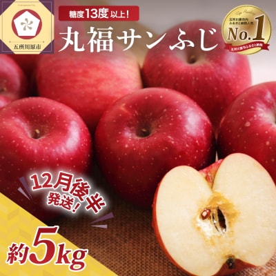 【2025年12月後半発送】 りんご 青森産 約5kg 丸福 サンふじ 光センサー 選果 糖度 13