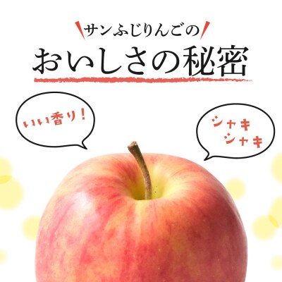 【2027年1月後半発送】 りんご 青森産 約5kg 丸福 サンふじ 光センサー選果 糖度13度以上