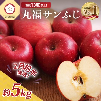【2026年2月前半発送】 りんご 青森産 約5kg 丸福 サンふじ 光センサー 選果 糖度 13度