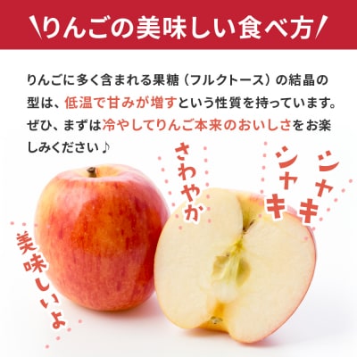 【2027年2月前半発送】 りんご 青森産 約5kg 丸福 サンふじ 光センサー選果糖度13度以上
