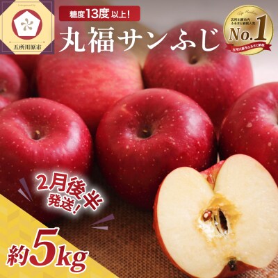 【2026年2月後半発送】 りんご 青森産 約5kg 丸福 サンふじ 光センサー 選果 糖度 13度