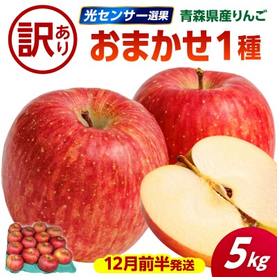 【2026年12月前半発送】 【訳あり】 りんご 青森産 約5kg 品種おまかせ1種