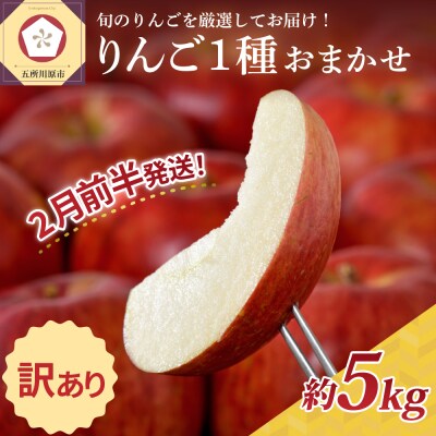 【2026年2月前半発送】 【訳あり】 りんご 青森産 約5kg 品種おまかせ1種