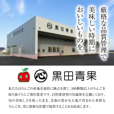 【2027年2月後半発送】 【訳あり】 りんご 青森産 約5kg 品種おまかせ1種