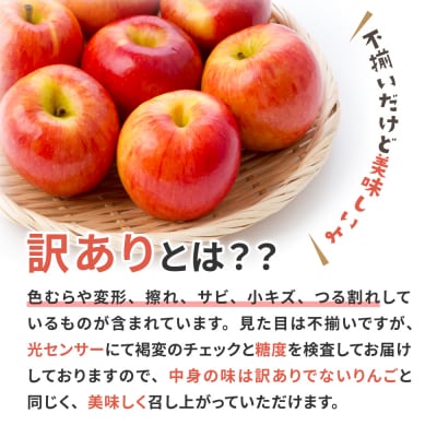 【2025年12月前半発送】【訳あり】 りんご 約10kg サンふじ 葉とらず 青森産