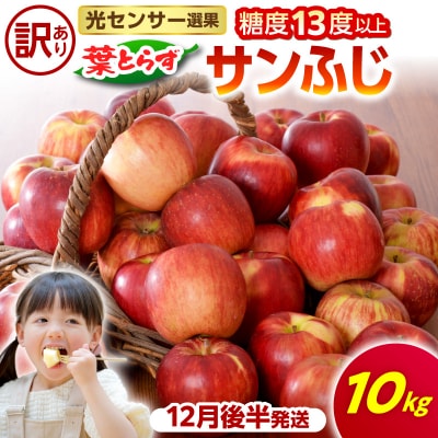 【2026年12月後半発送】【訳あり】 りんご 約10kg サンふじ 葉とらず 青森産
