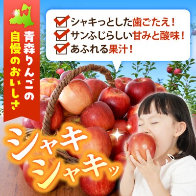 【2027年1月前半発送】【訳あり】 りんご 約10kg サンふじ 葉とらず 青森産