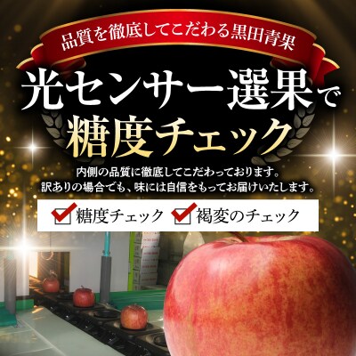 【2027年1月前半発送】【訳あり】 りんご 約10kg サンふじ 葉とらず 青森産