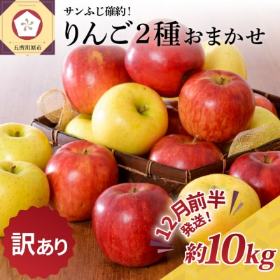 【2026年12月前半発送】【訳あり】りんご 約10kg サンふじ確約 青森産 品種おまかせ2種以上