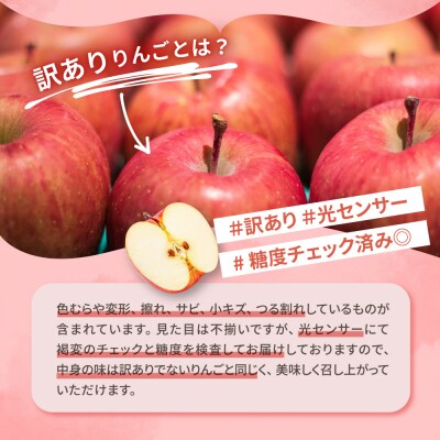 【2026年12月前半発送】【訳あり】りんご 約10kg サンふじ確約 青森産 品種おまかせ2種以上