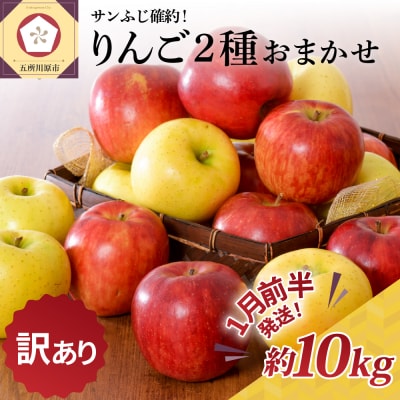【2027年1月前半発送】【訳あり】りんご 約10kg サンふじ確約 青森産 品種おまかせ2種以上